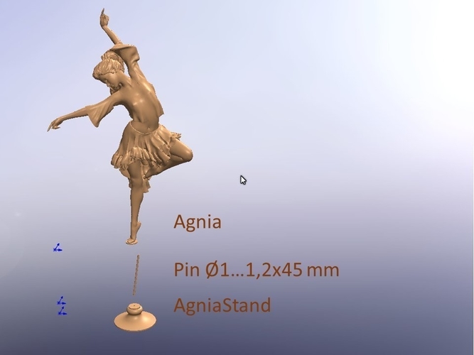 Agnia 3D Print 217020