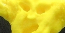 Image 217260
