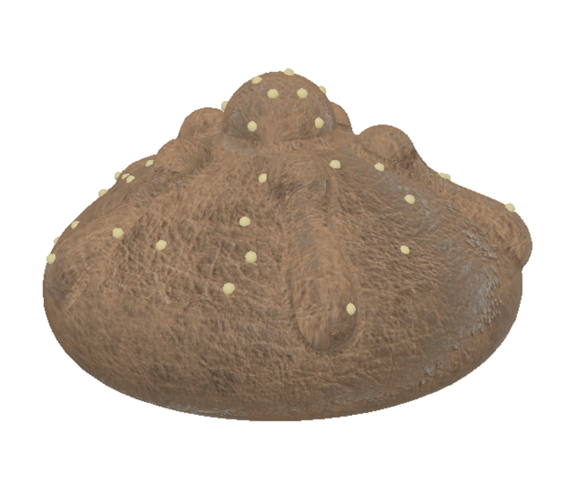 Pan de Muerto