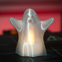 Small Ghost 3D Printing 217473