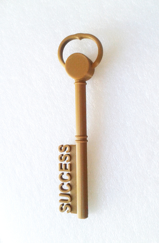 The key to success! 3D Print 217605