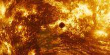 Image 217985