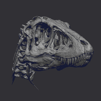 Life size baby T-rex skeleton - Part 01/10 - Thumbnail 6