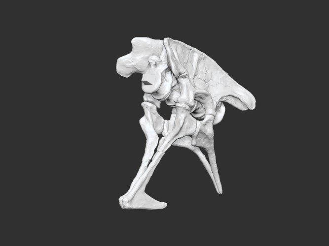 Life size baby T-rex skeleton - Part 02/10 3D Print 218202
