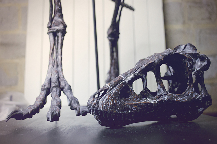 Life size baby T-rex skeleton - Part 03/10 3D Print 218209