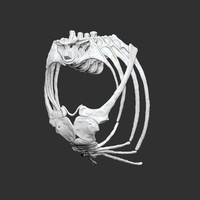 Life size baby T-rex skeleton - Part 04/10 - Thumbnail 5