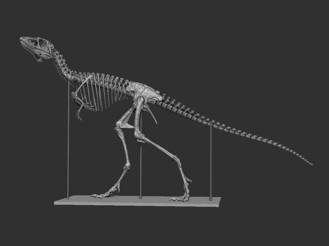 Allosaurus high poly t-pose model | 3D Print Model