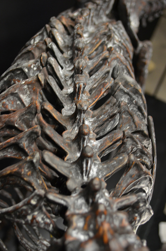 Life size baby T-rex skeleton - Part 06/10 3D Print 218312