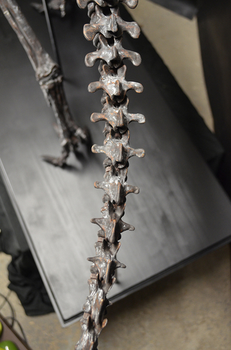 Life size baby T-rex skeleton - Part 09/10 3D Print 218316