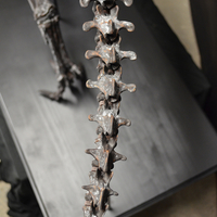 Life size baby T-rex skeleton - Part 09/10 - Thumbnail 6