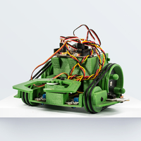 Small PrintBot Beetle 3D Printing 219095