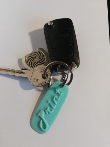 Keychain (Print) 3D Print 219147