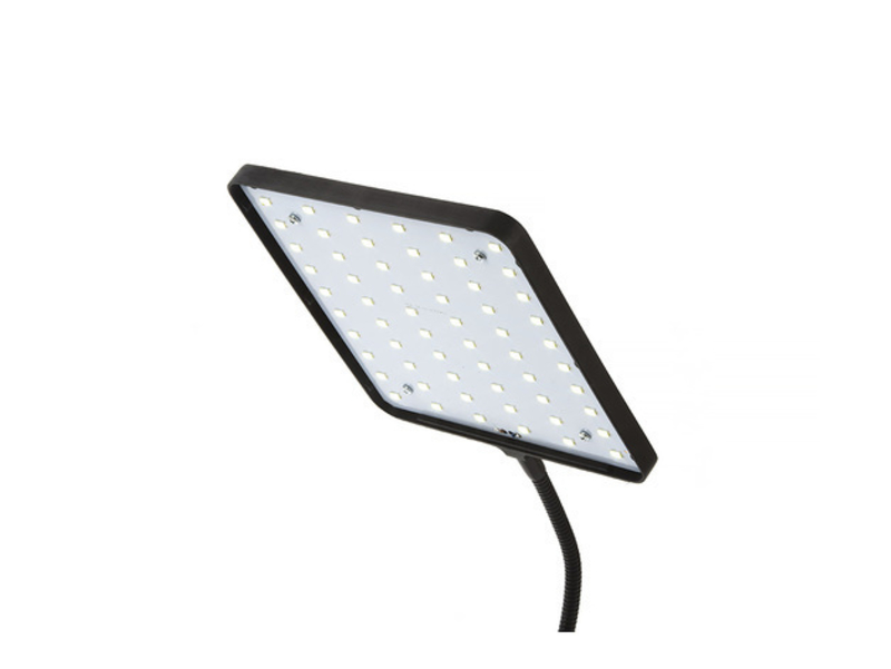 Studio lighting for macro photography