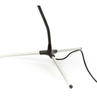 Studio lighting for macro photography - Thumbnail 5