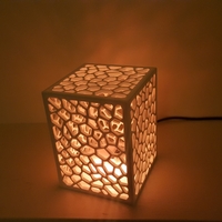 Small Cell Structure Lamp 3D Printing 220262