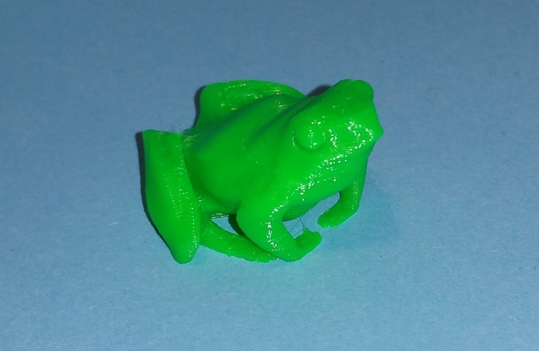 a little frog 3D Print 220314