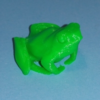 Small a little frog 3D Printing 220314