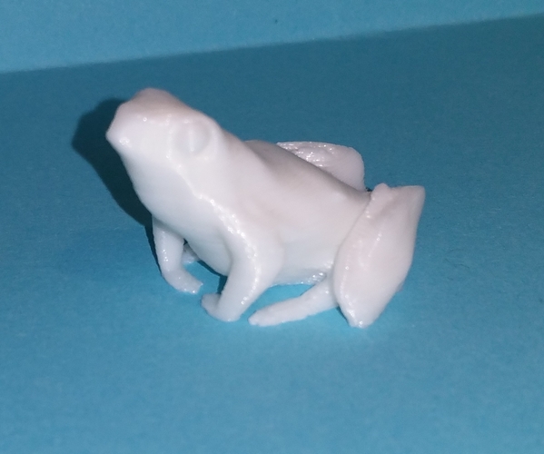 a little frog 3D Print 220315