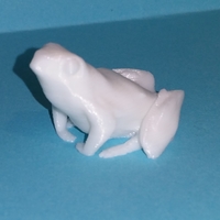 a little frog - Thumbnail 2