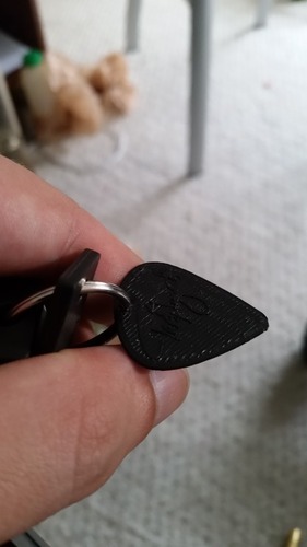 Guitar Pick with Hole for Keychain (Ted Nugent) 3D Print 22041