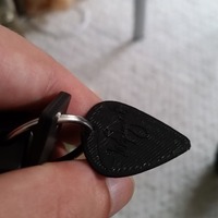 Guitar Pick with Hole for Keychain (Ted Nugent) - Thumbnail 2