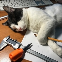 Screwdriver Сarrot - Thumbnail 6