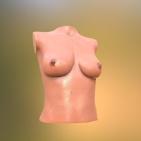 TITS - Thumbnail 2