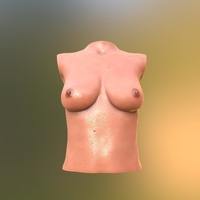 TITS - Thumbnail 3