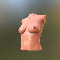TITS - Thumbnail 4