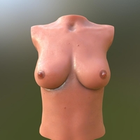 TITS - Thumbnail 11