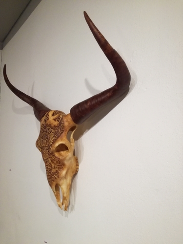 Life Size Bull Skull