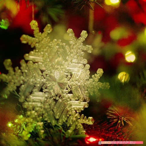 Real snowflake - Christmas Tree decoration - size: 128mm