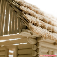 3D printed house - log cabin - cottage - Thumbnail 8
