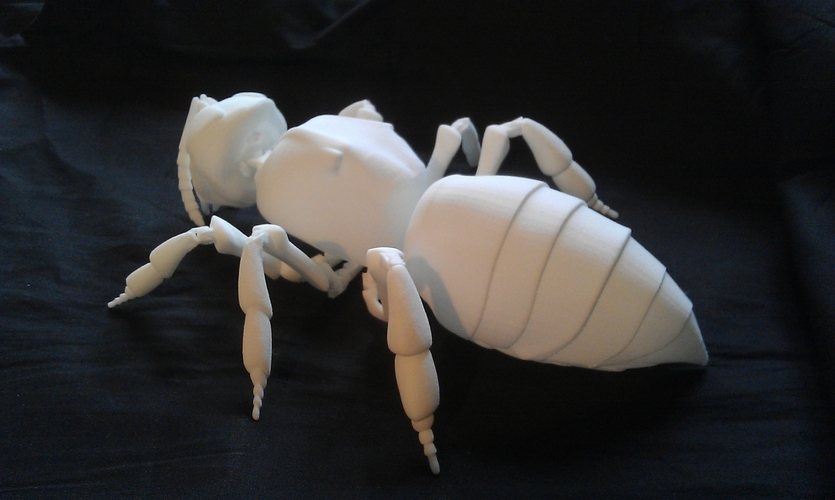 honey bee model. 3D Print 221426