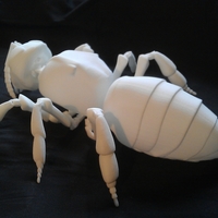 honey bee model. - Thumbnail 2