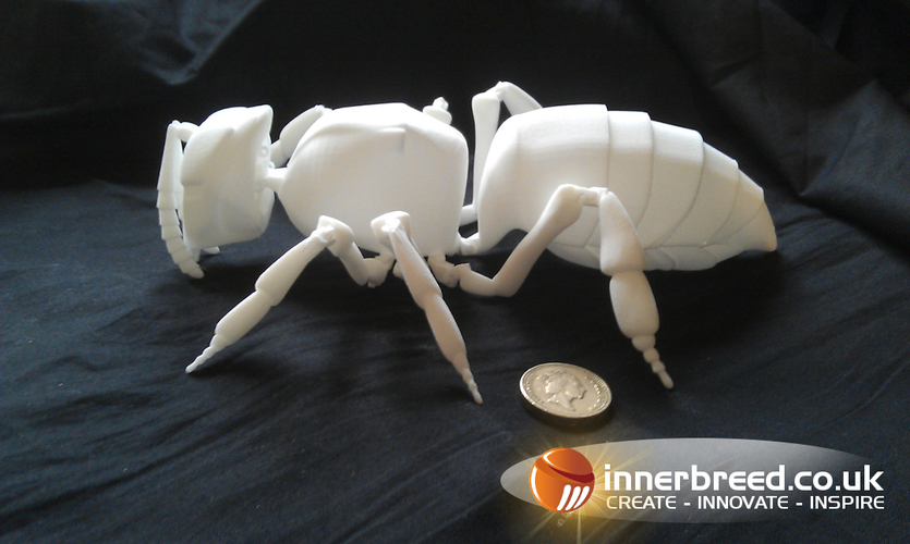 honey bee model. 3D Print 221428