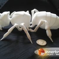 honey bee model. - Thumbnail 4