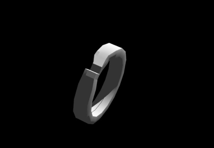 Key ring  3D Print 221659