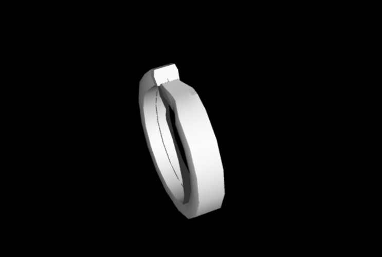 Key ring  3D Print 221660