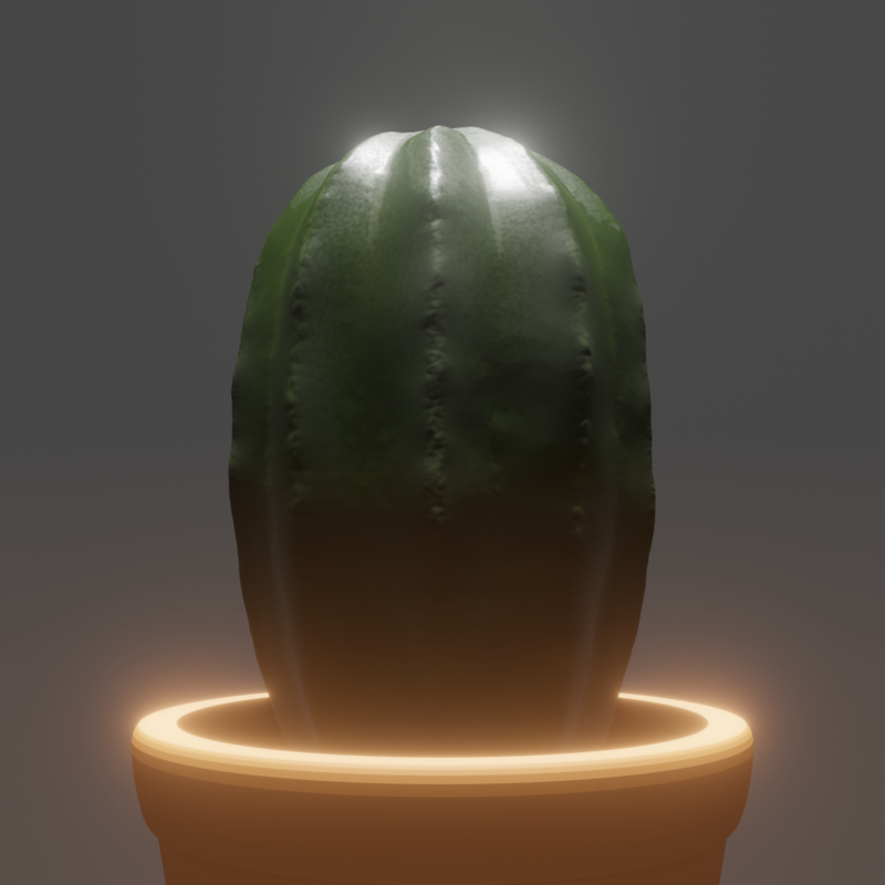 Cactus 
