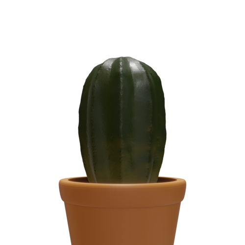 Cactus  3D Print 221671