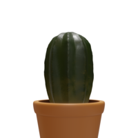 Cactus  - Thumbnail 3