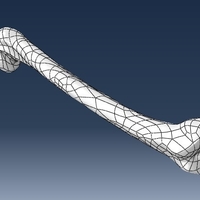 Small Human Femur Bone 3D Printing 221779