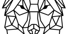 Image 221933