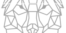 Image 221934