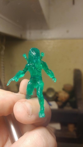 The Wolf 3D Print 221989