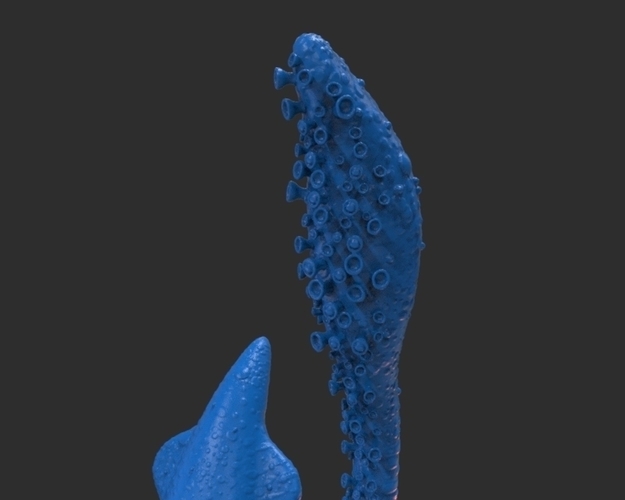 Squid 3D Print 222145
