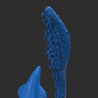 Squid - Thumbnail 13