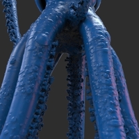 Squid - Thumbnail 15