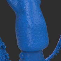 Squid - Thumbnail 17